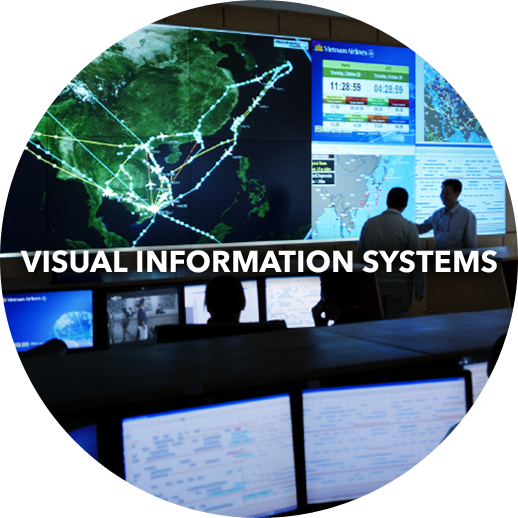 Visual Information Systems