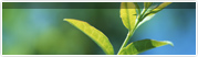 Environmental Inquiries