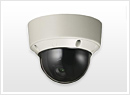 IP Cameras