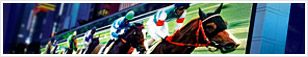Visual Information Systems