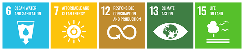 icon: Priority SDG initiatives