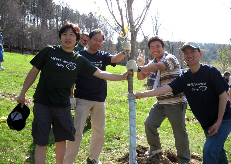 photo: Planting cherry trees in Pittsburgh's North Park