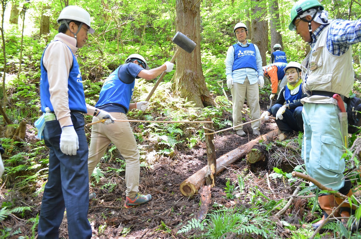 photo: Woodland preservation project
