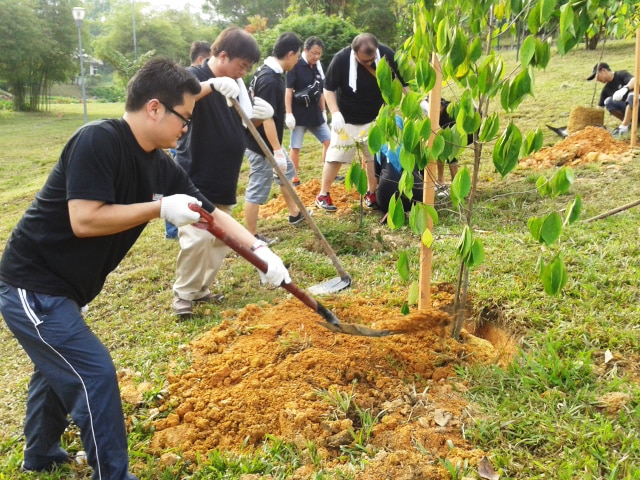 photo: tree planting activity in Malaysia 1
