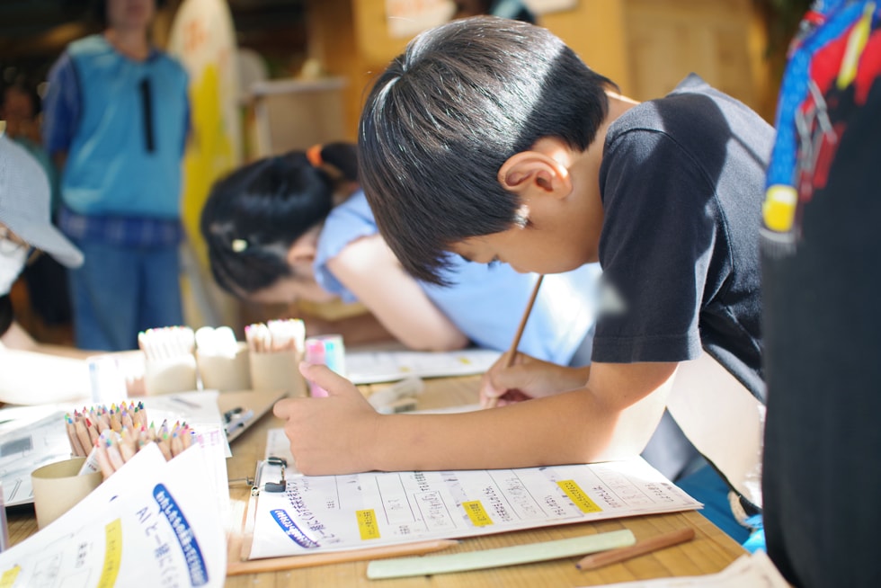 Study programs
