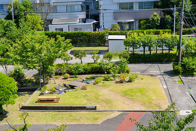 photo: Green space with water area created near the main entrance