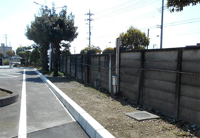 photo: The fence and surrounding vegetation (before)