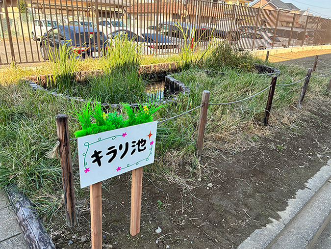 photo: The newly created biotope