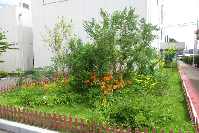 photo: Shizuoka Works