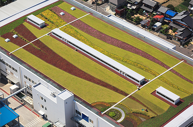 photo: The rooftop green space is the size of a soccer field. It is designed to evoke the image of three rivers flowing through the region.