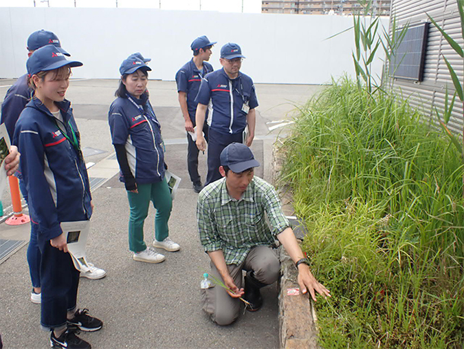 photo: Explanation of flora by an external expert