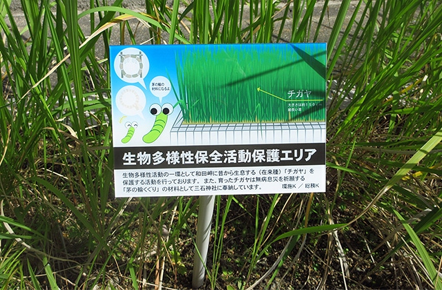 photo: Cogongrass Protected Area 1. Signage installed to raise awareness among employees about the significance of these activities.