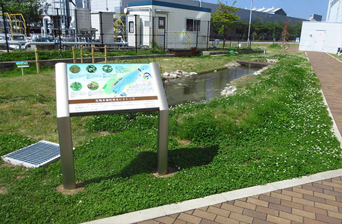 photo: Biotope recreating estuary wetland and grassland environments