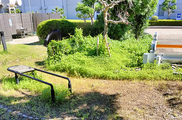 photo: Grassland biotope within the Kyoto area