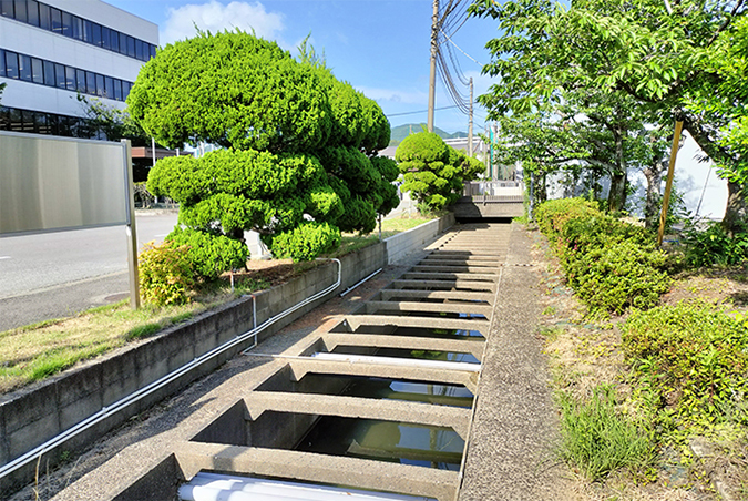 photo: Waterway flowing through the site