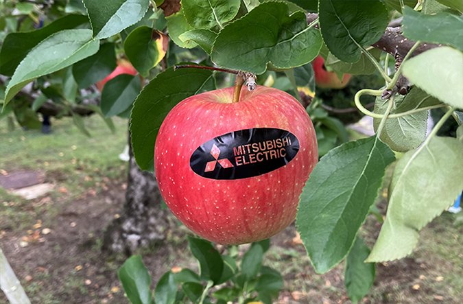 photo: The company logo appears when the sticker is pulled off.