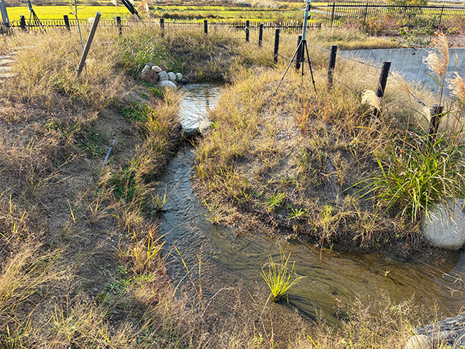photo: The biotope consisting of two ponds