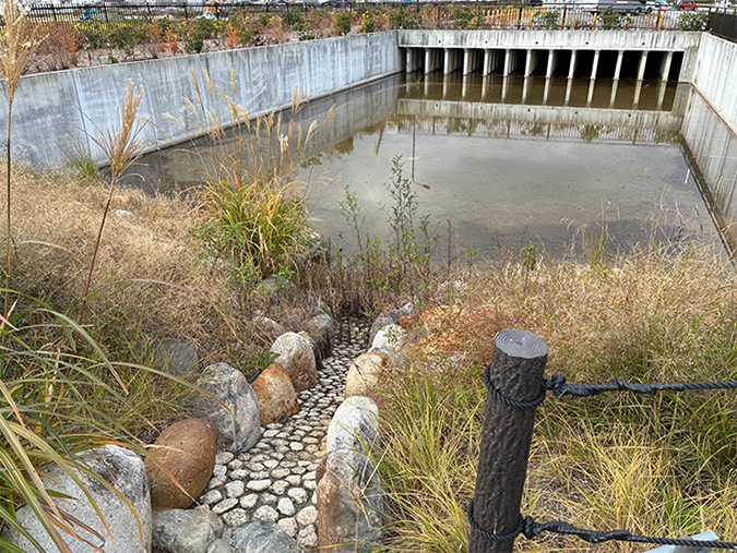 photo: The retention pond connected to it by a waterway
