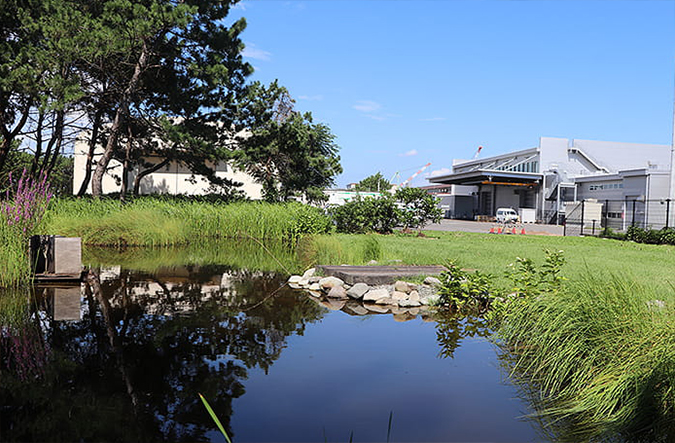 photo: Biotope created by experts