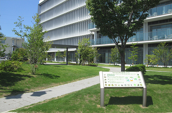 photo: We have created a green space on the premises to attract creatures from the surrounding mountains and sea.