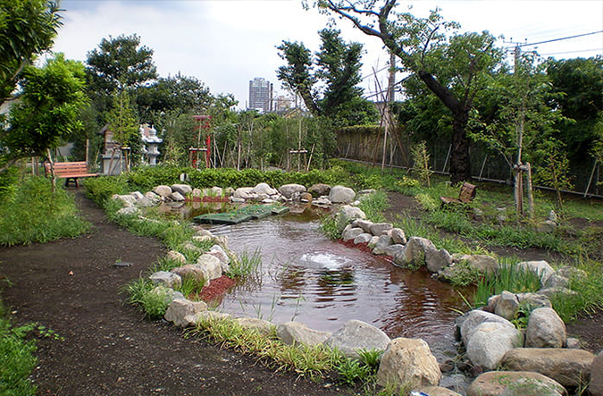 photo: Biotope created within the biodiversity green space