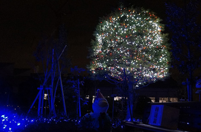 photo: Decorative lighting for promoting public awareness of the biodiversity green space