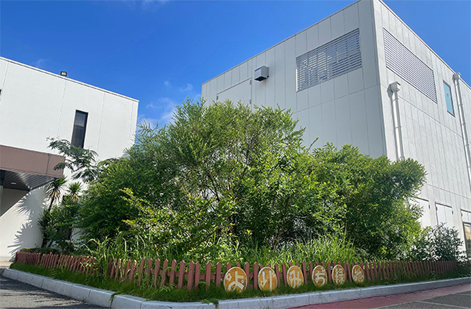 photo: Stepping-stone green space at the Shizuoka Works