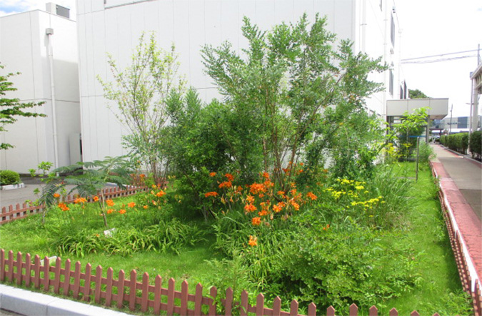 photo: Stepping-stone green space when first established