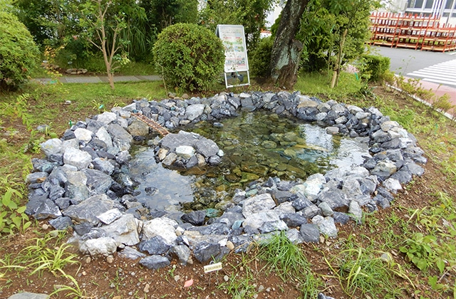photo: A sign explaining the project has been set up next to the pond.