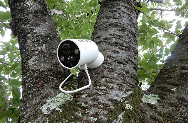 photo: An automatic camera for capturing images of creatures using the biotope
