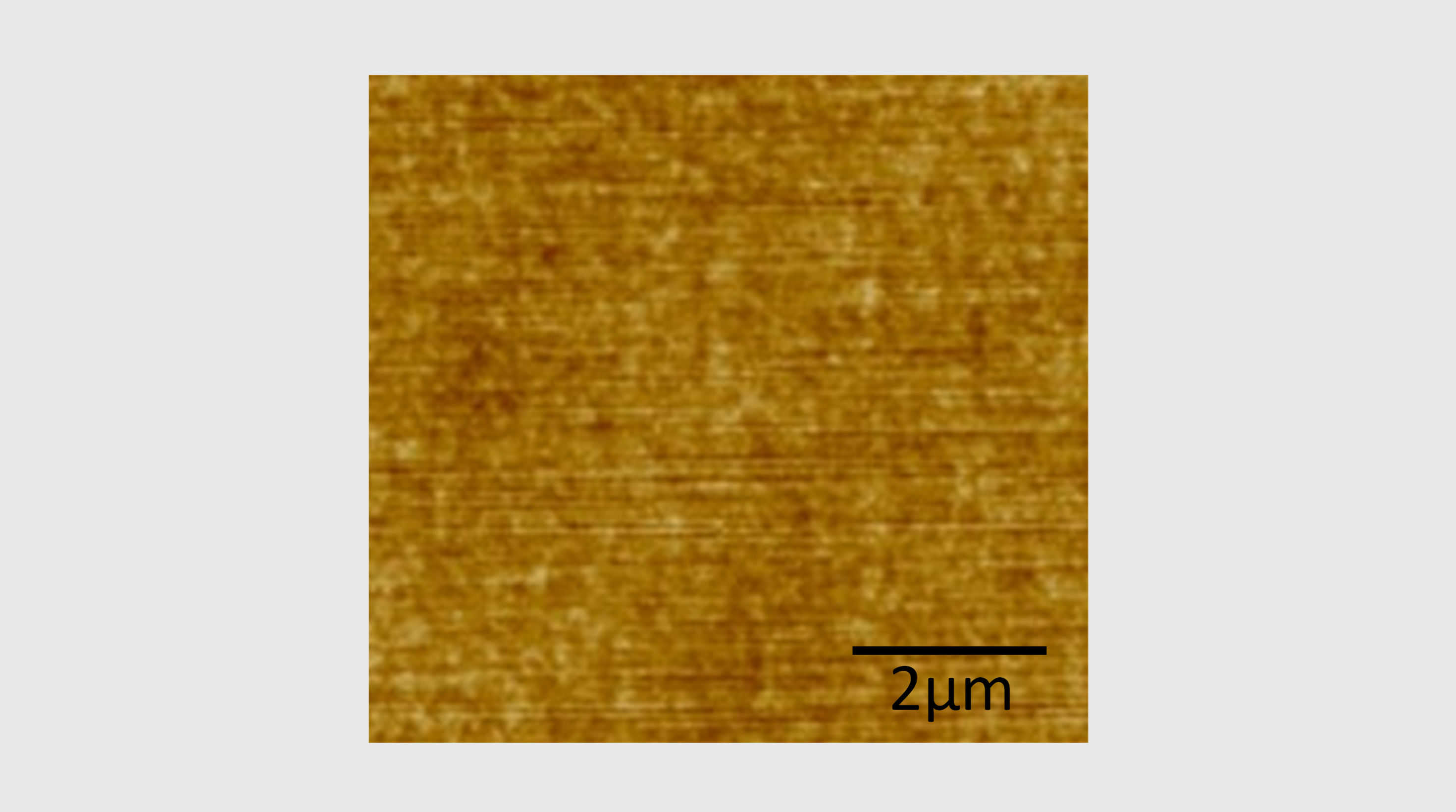 ##@.TEXT_15_09_VEW.NM##