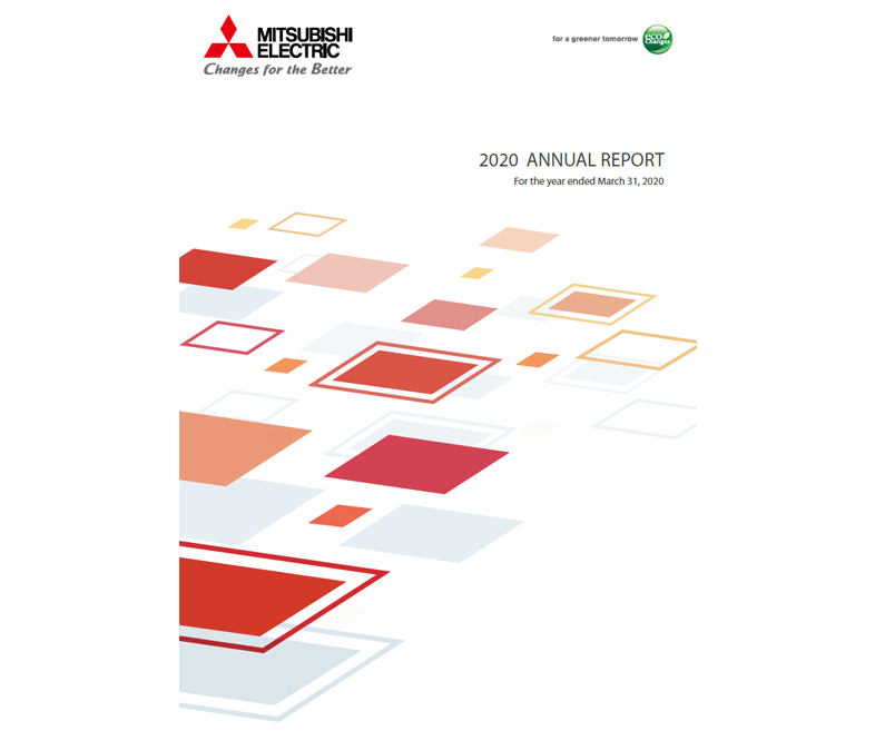 document: 2020 Annual Report