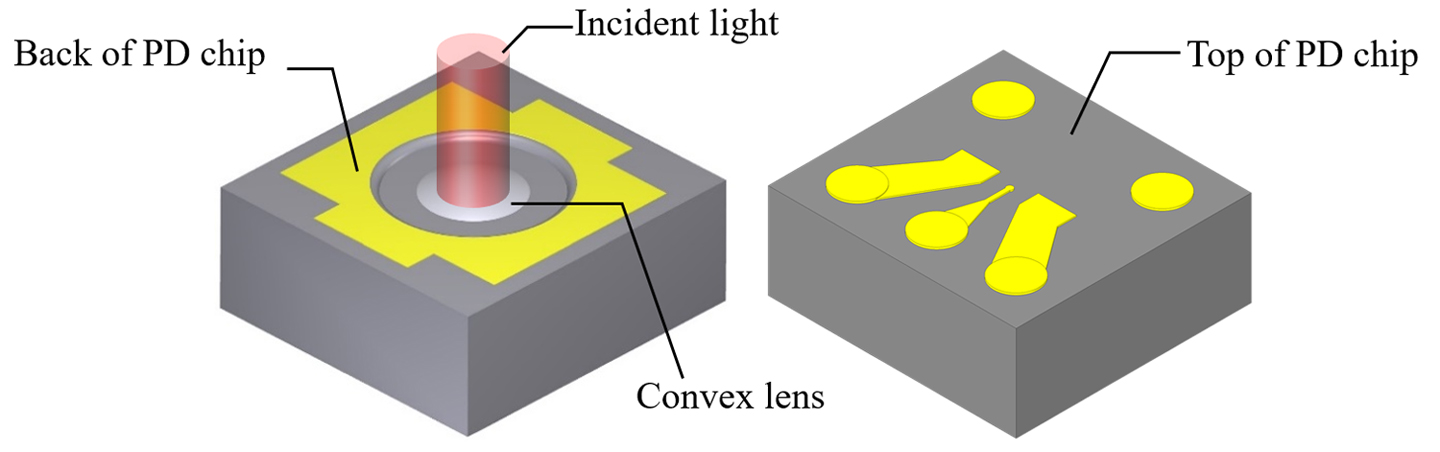 Illustration of 200Gbps PIN-PD chip for 800Gbps and 1.6Tbps optical-fiber communication