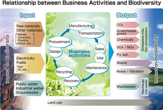 diagram: Relationship between Business Activites and Biodiversity