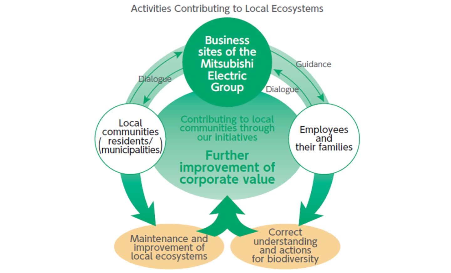 diagram: Activities Contributing to Local Ecosystems