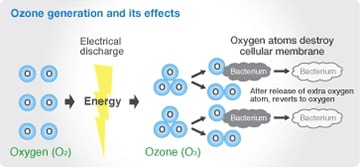 diagram: Ozone generation and its effects