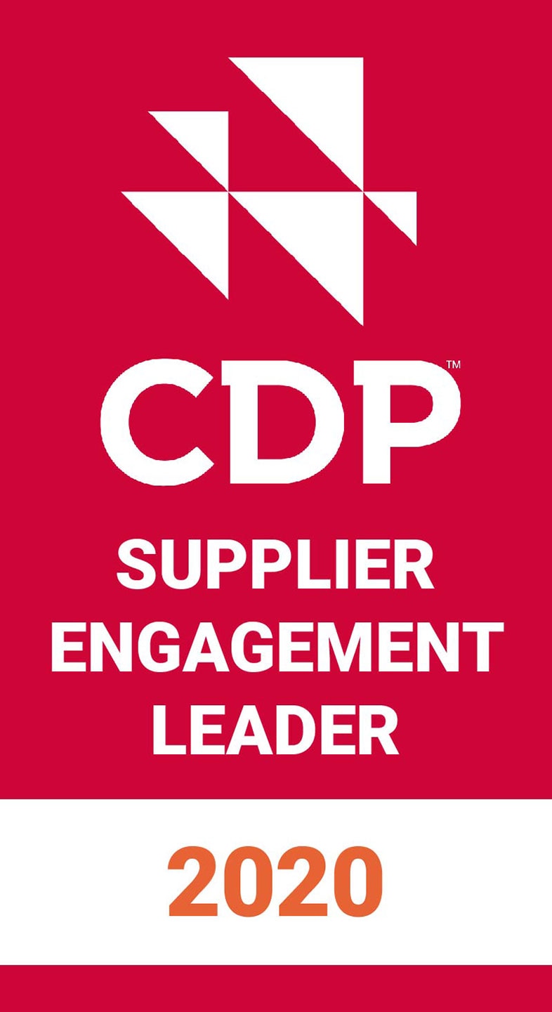 logo: CDP2020 SEL