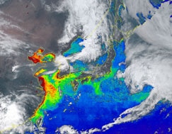 photo: ©JAXA Sea Phytoplankton Density Measured by Himawari-8 (The red areas indicate the highest eutrophication)