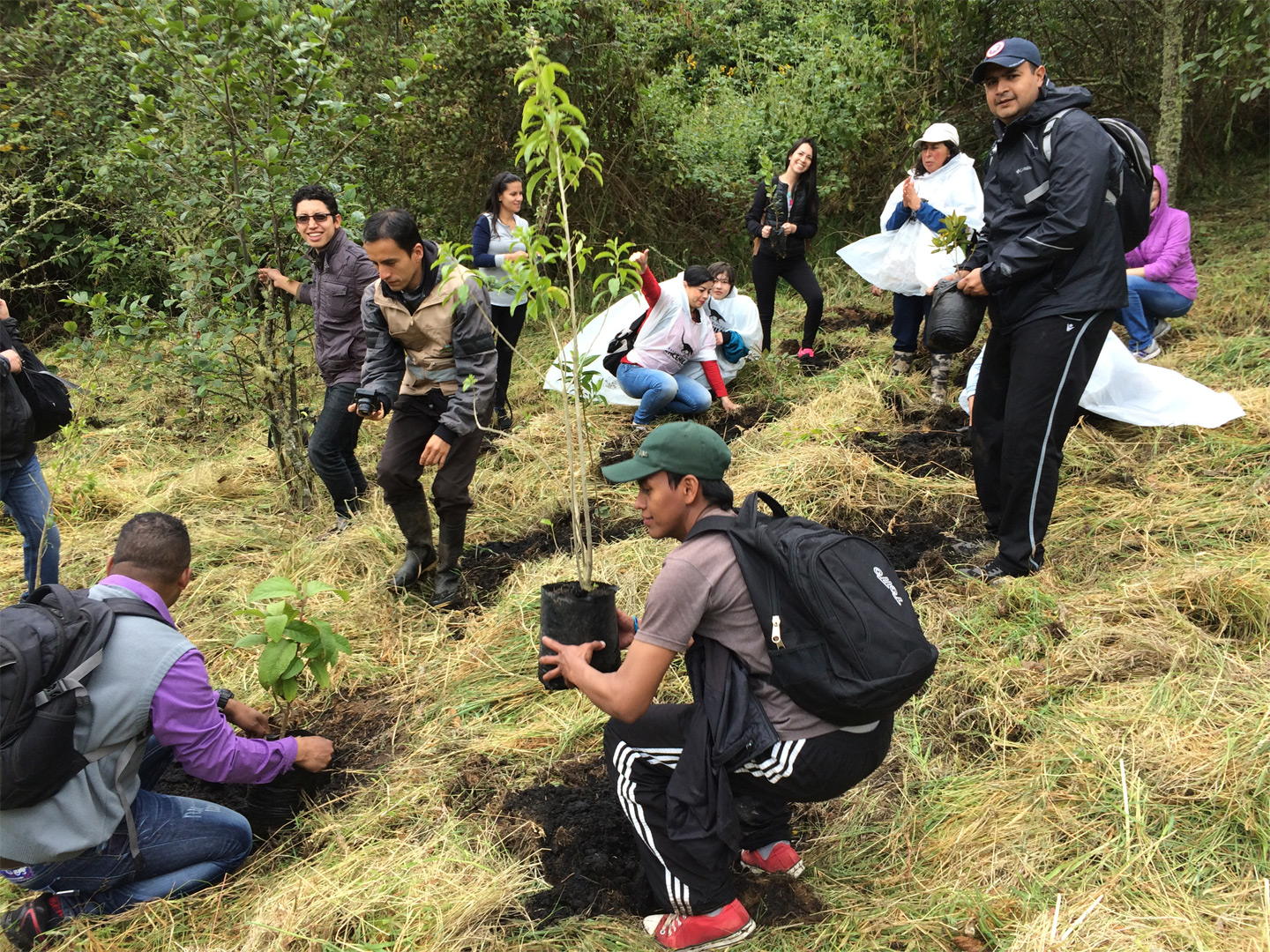 photo: Tree planting activity