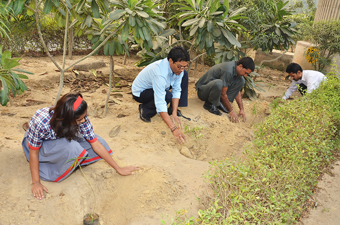 photo: a tree planting in Gurgaon 3