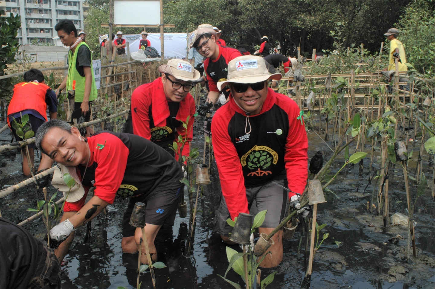 photo: Joint mangrove planting activities involving three local group companies in Indonesia 1