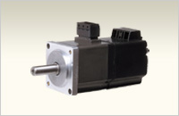 Servomotor rotativo