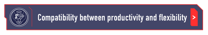 Compatibility between productivity and flexibility