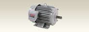 Inverter drive motors