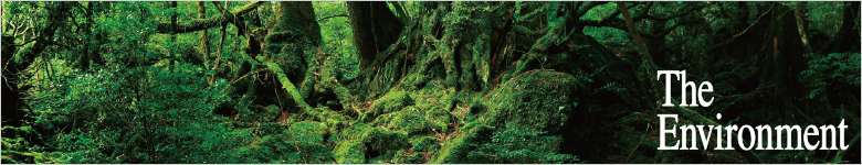 The Environment