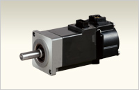 Rotary Servo Motor