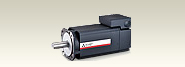 Spindle Motors