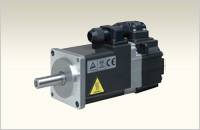 Rotary Servo Motor