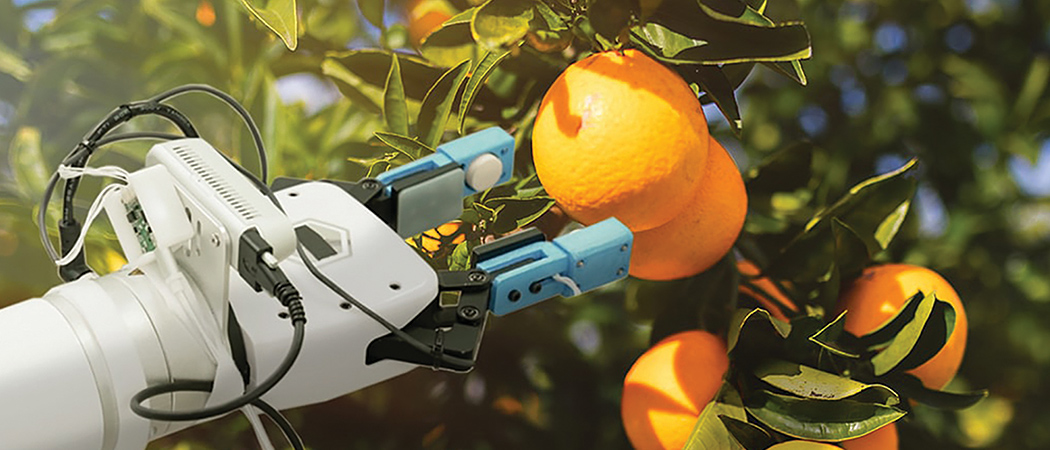 A remote controlled robot that picks fruit with the same moderate force as a person and without crushing them. The day is near when this will become a reality.