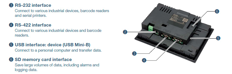 Ngoại hình mặt sau